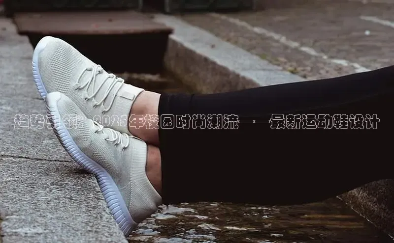 XCSport网页版入口