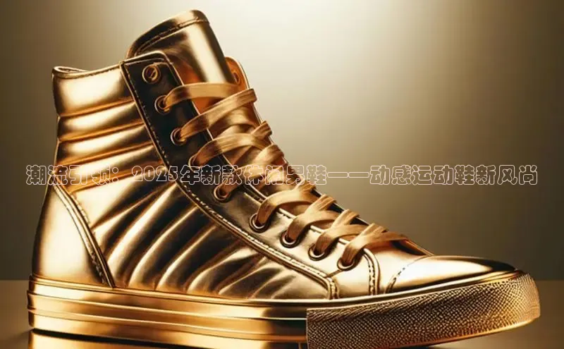 XC网页版入口