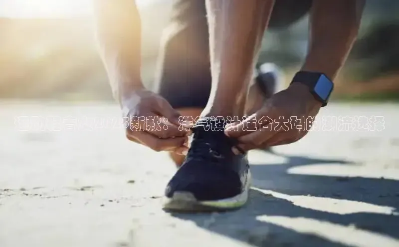 XC网页版入口